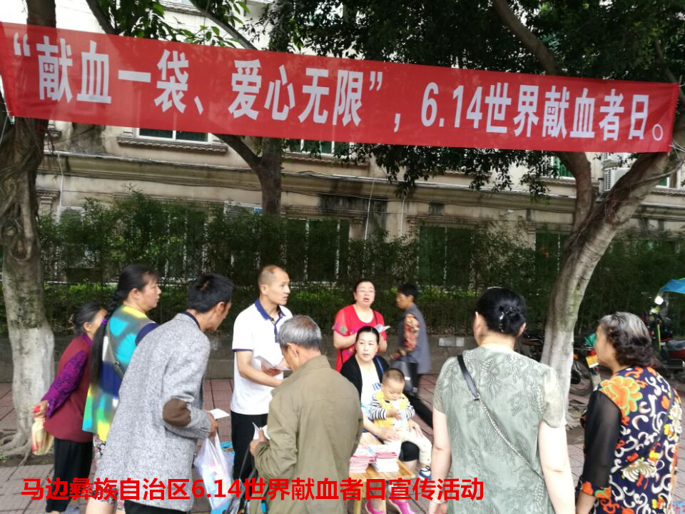 马边彝族自治区6.14世界献血者日宣传活动.jpg